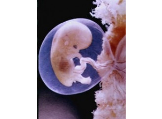 E i media s'inventarono
il bambino OGM